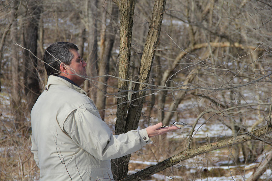 2017 Blue Spruce Park