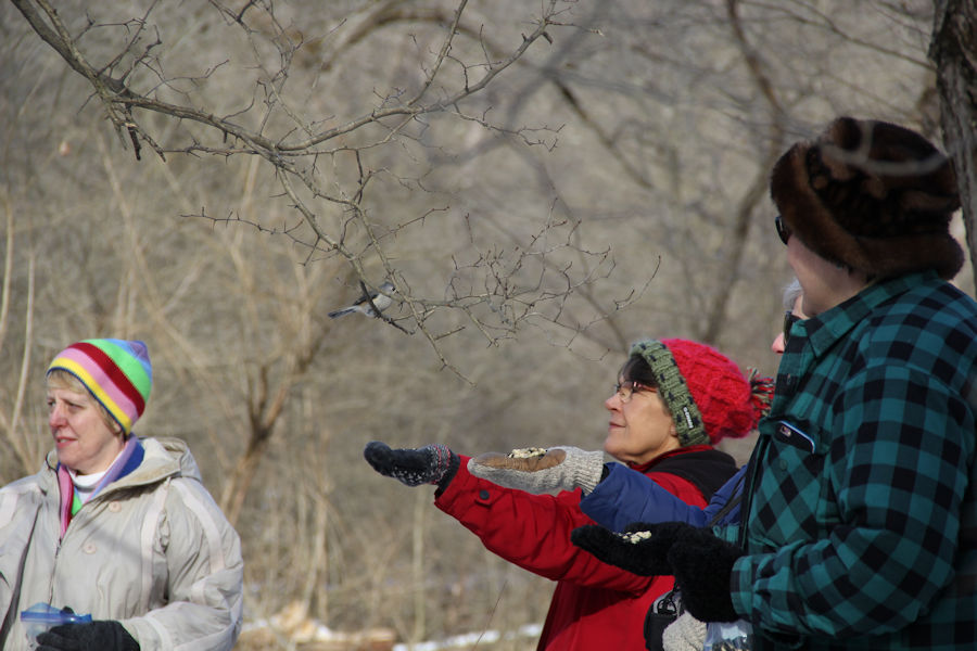2017 Blue Spruce Park