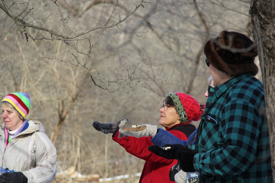 2017 Blue Spruce Park