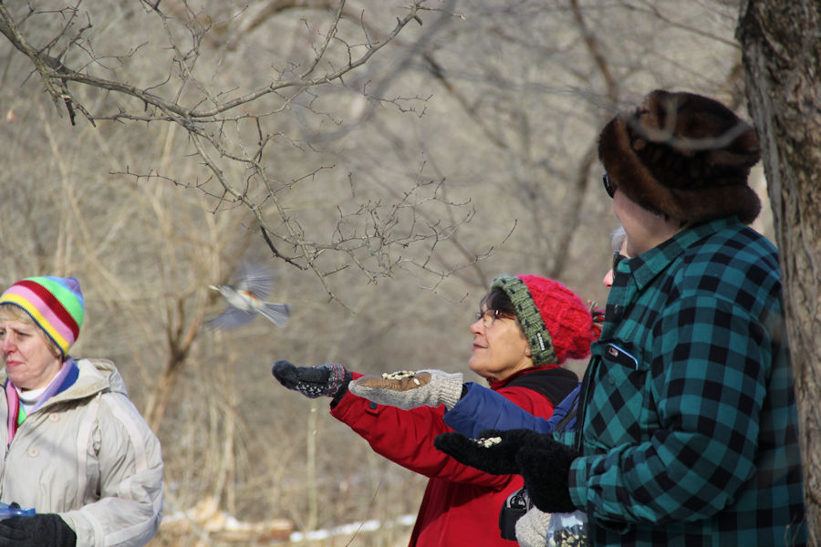 2017 Blue Spruce Park