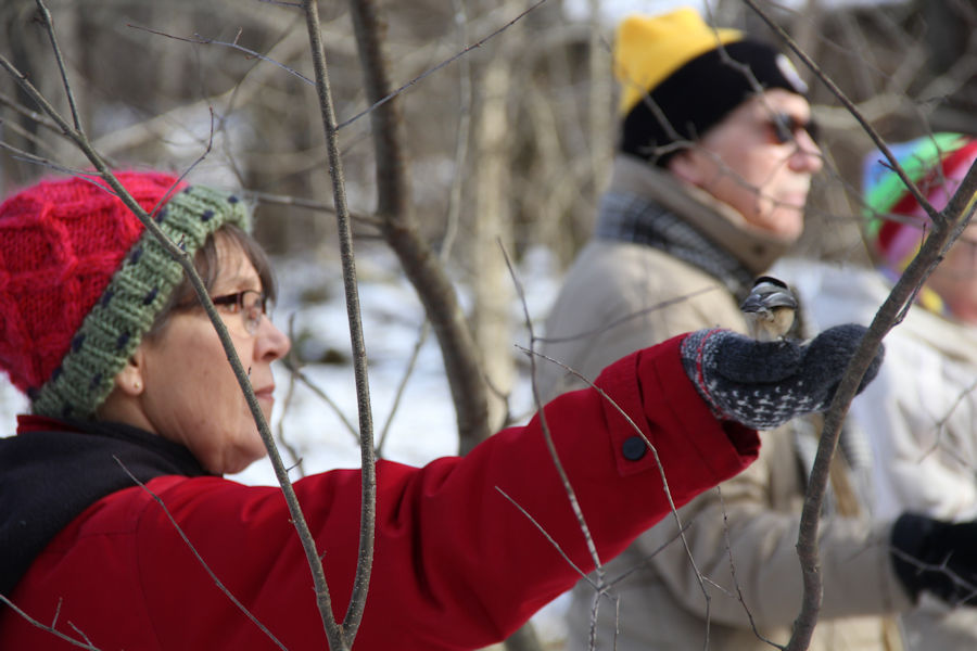 2017 Blue Spruce Park