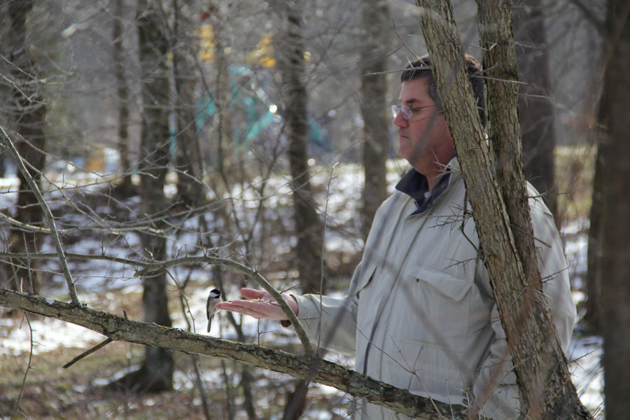 2017 Blue Spruce Park