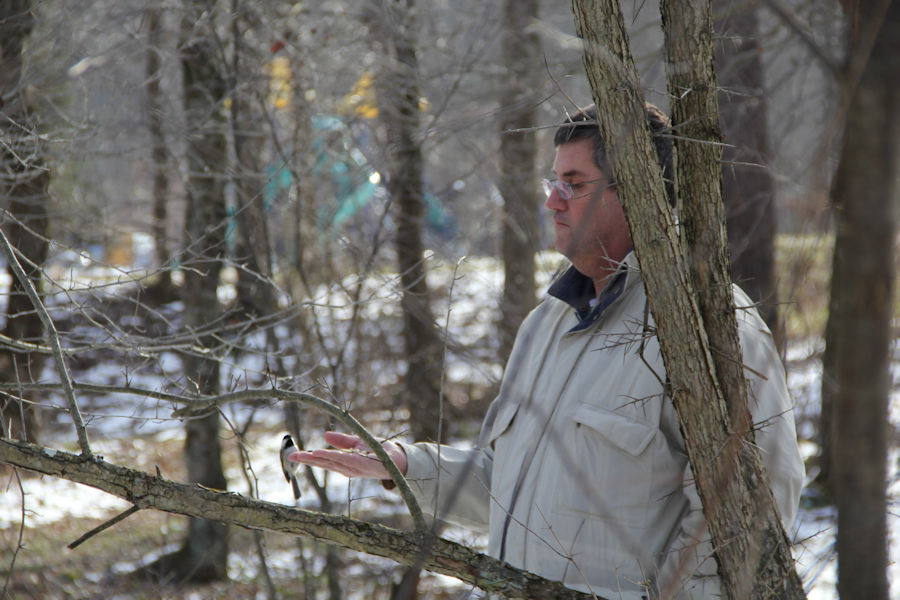 2017 Blue Spruce Park