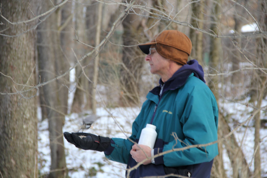 2017 Blue Spruce Park