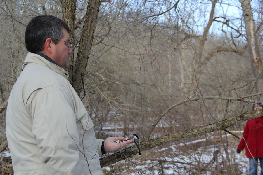 2017 Blue Spruce Park