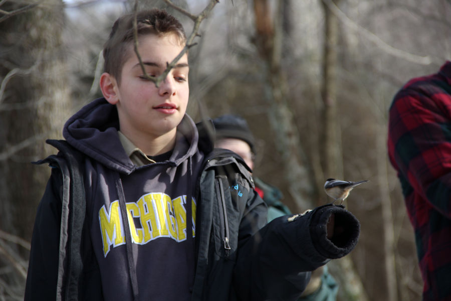 2017 Blue Spruce Park