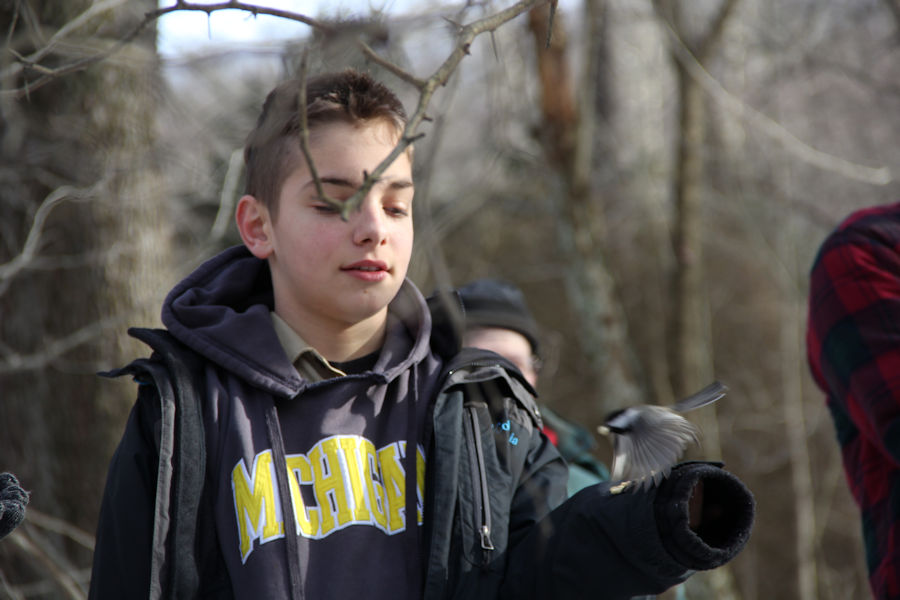 2017 Blue Spruce Park