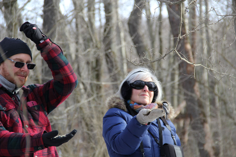 2017 Blue Spruce Park
