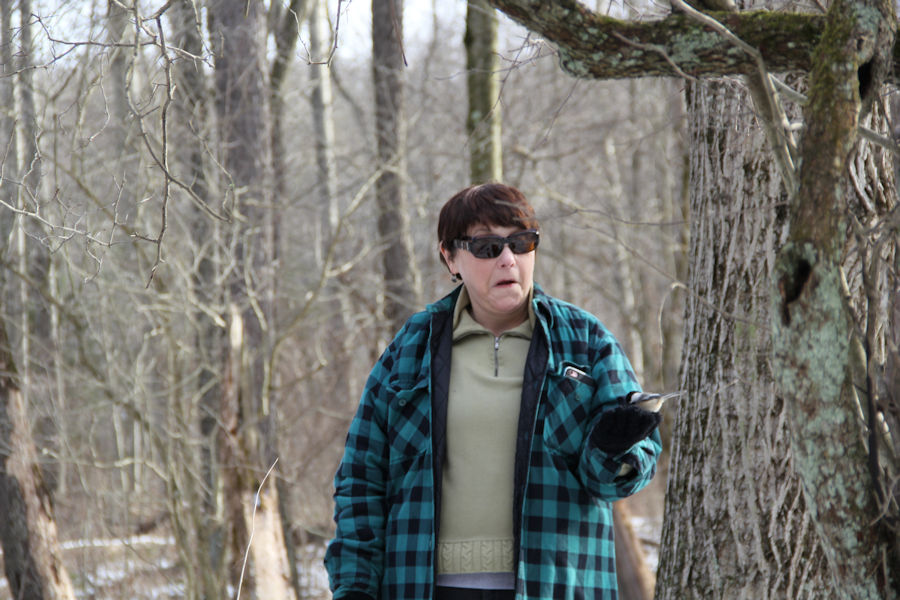 2017 Blue Spruce Park