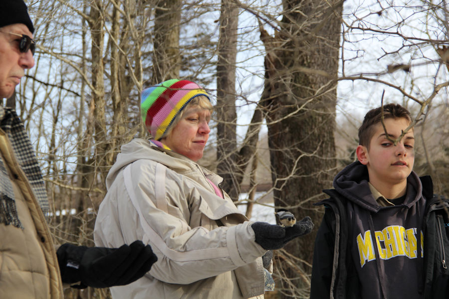 2017 Blue Spruce Park