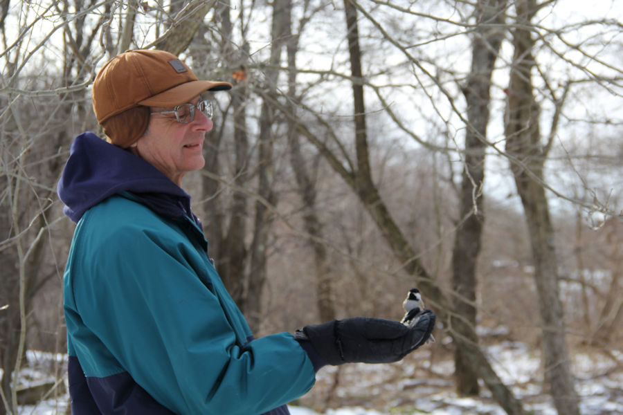 2017 Blue Spruce Park