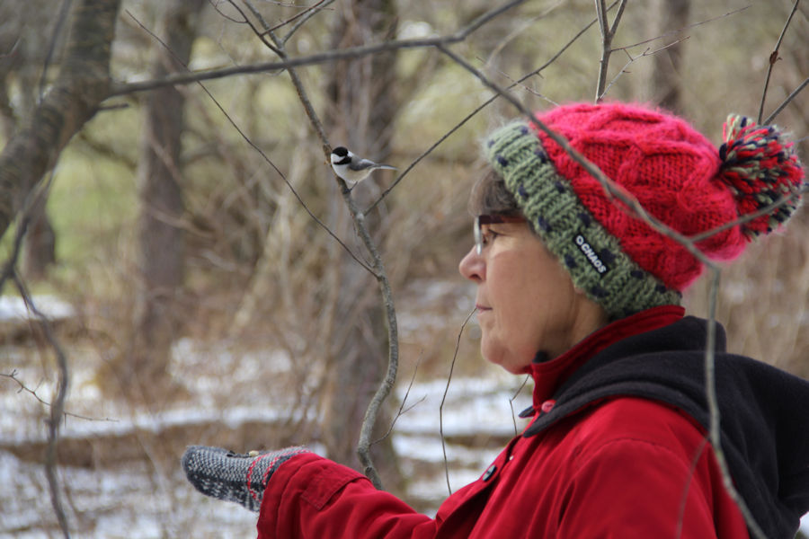 2017 Blue Spruce Park