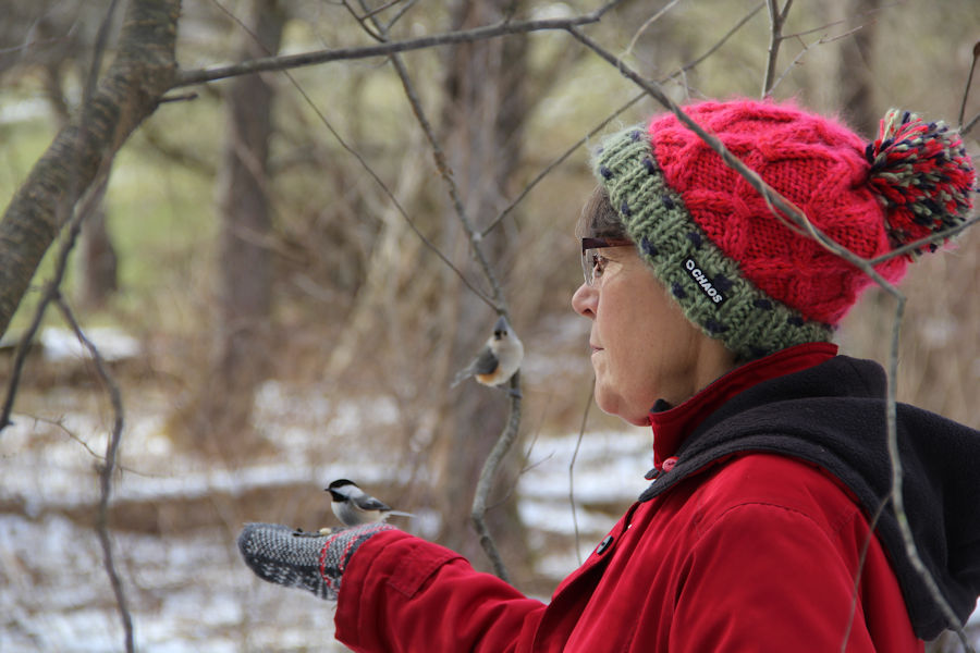 2017 Blue Spruce Park
