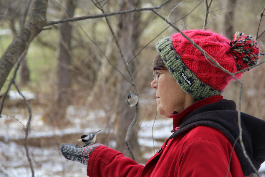 2017 Blue Spruce Park
