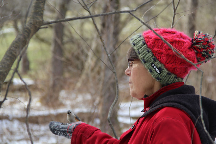 2017 Blue Spruce Park