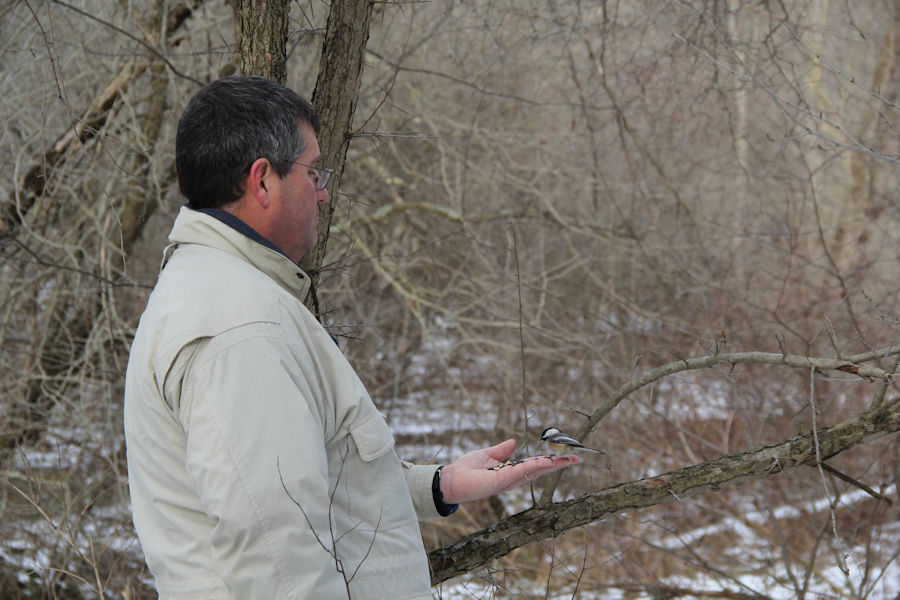 2017 Blue Spruce Park