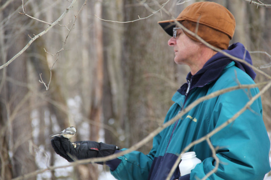 2017 Blue Spruce Park