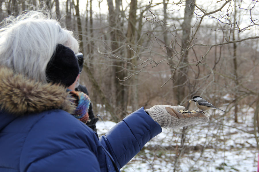 2017 Blue Spruce Park