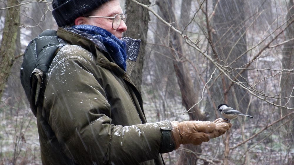 Ray Winstead with Chickadee near Indiana, Pennsylvania 12-26-2012